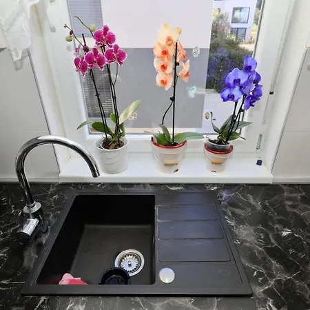 Apartment Donat Zadar